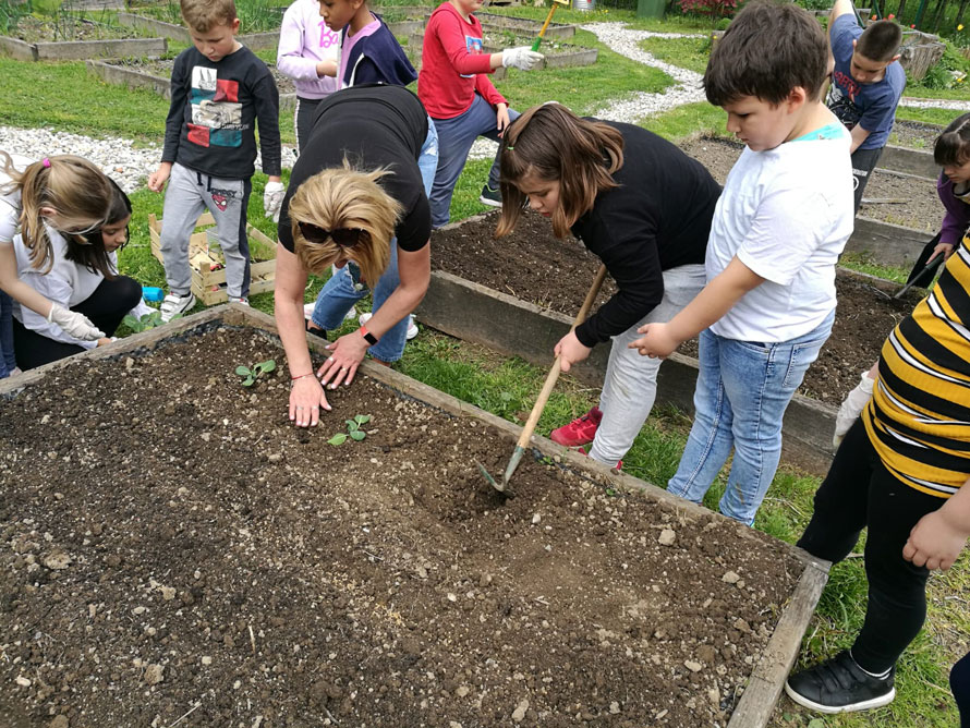 Dan planeta Zemlje